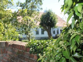 Lush Apartment in Steffenshagen with Garden